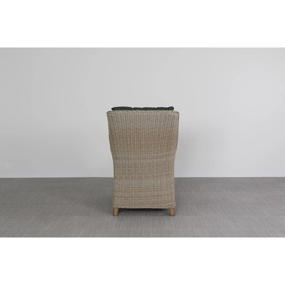 VDG King Dining Tuinstoel - Dessert 5 VDG King Dining Tuinstoel - Dessert - Afbeelding 3